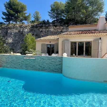La Villa Des Carriers- Maison Avec Piscine Proche Mer Roquefort Les Pins Bagian luar foto