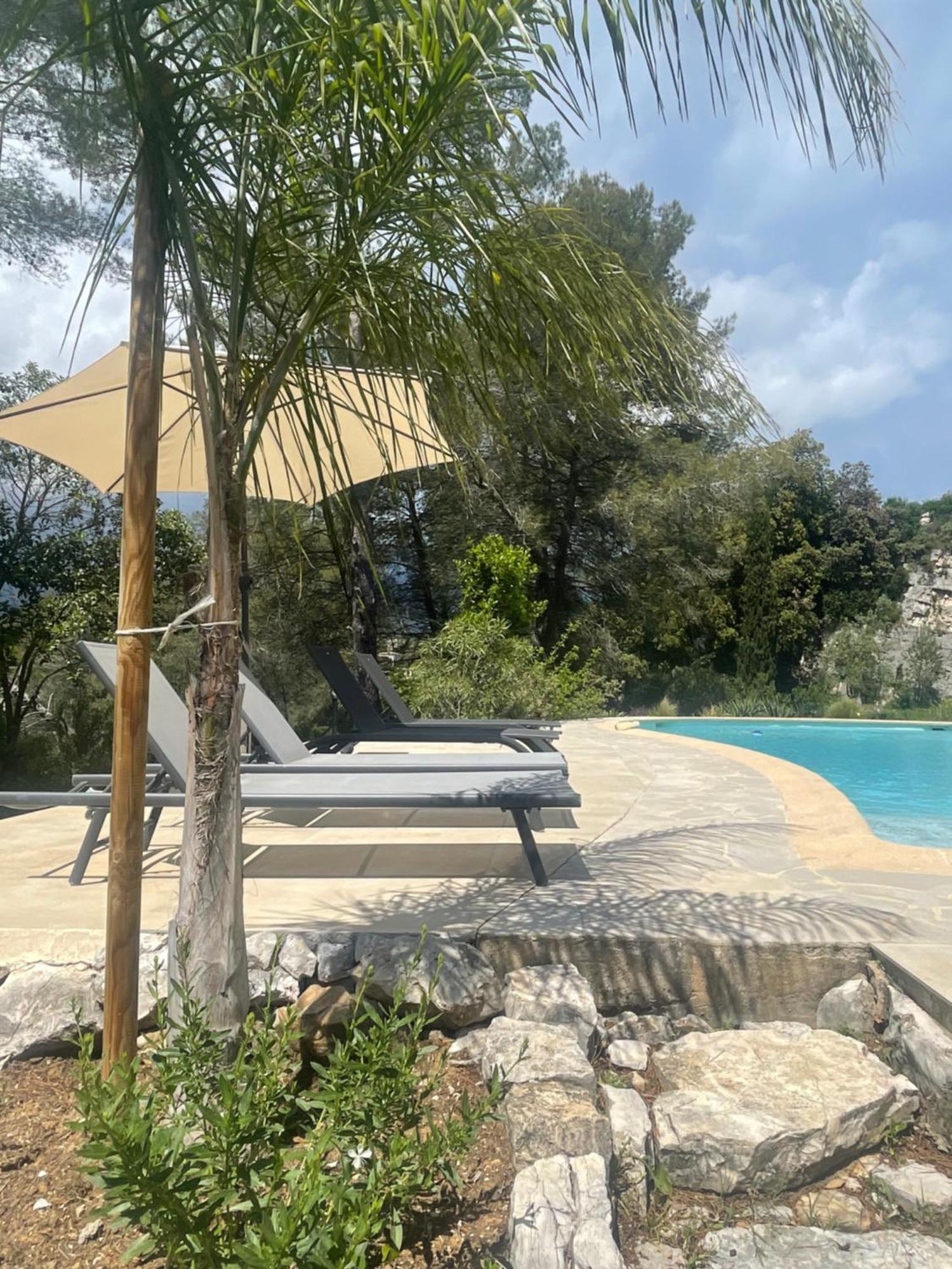 La Villa Des Carriers- Maison Avec Piscine Proche Mer Roquefort Les Pins Bagian luar foto