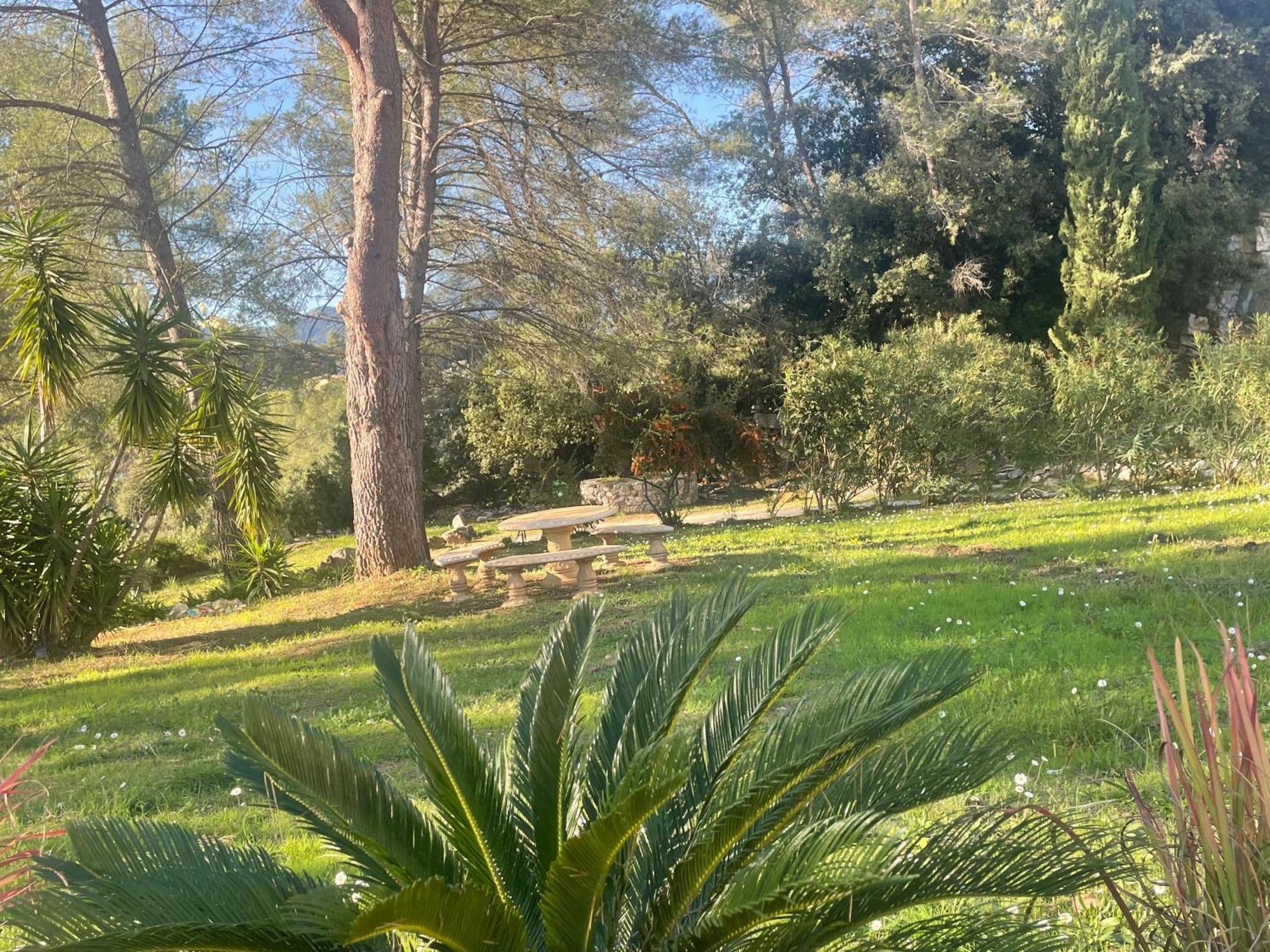 La Villa Des Carriers- Maison Avec Piscine Proche Mer Roquefort Les Pins Bagian luar foto