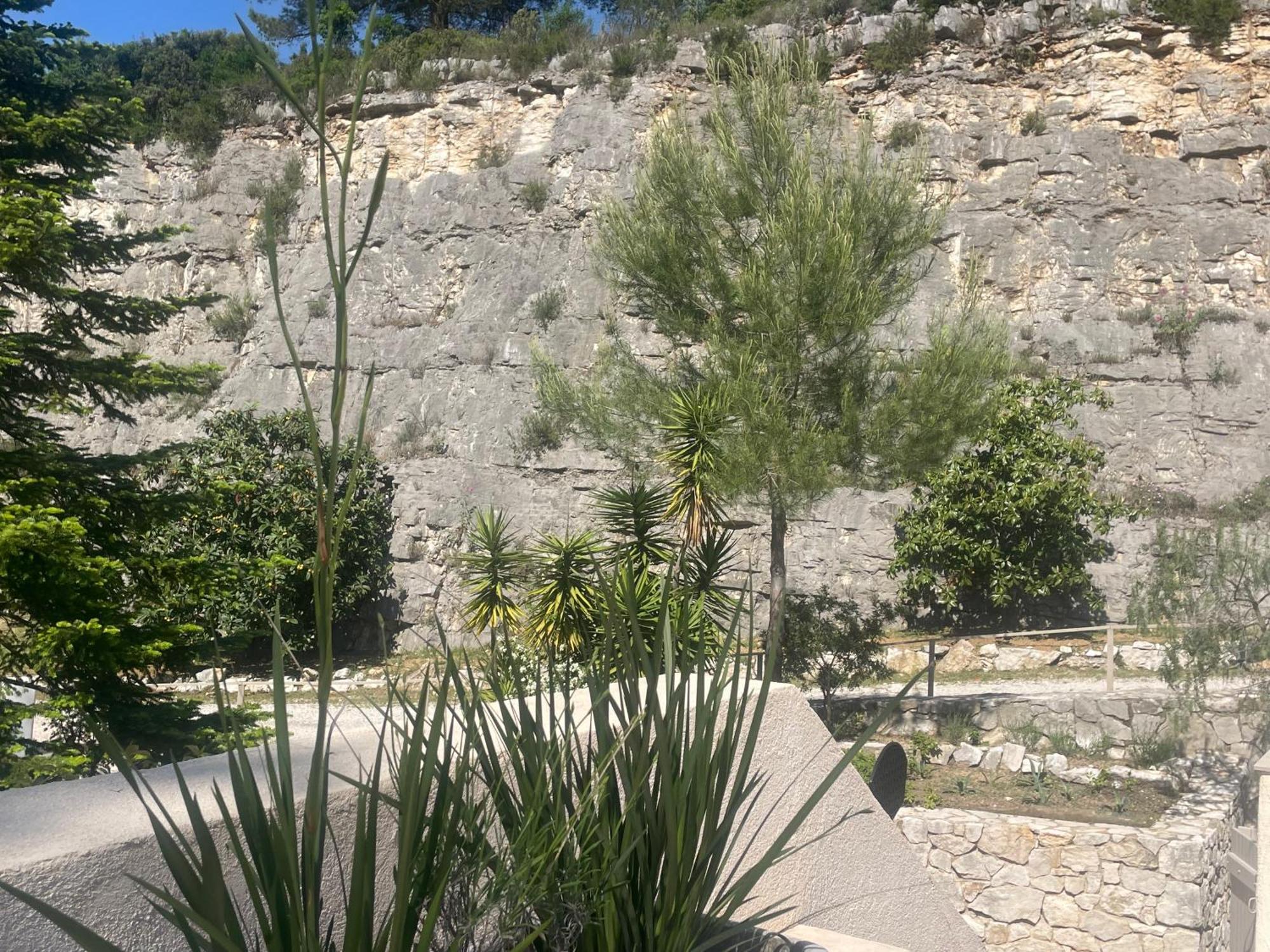 La Villa Des Carriers- Maison Avec Piscine Proche Mer Roquefort Les Pins Bagian luar foto